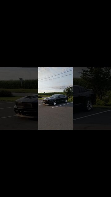 2008 Ford mustang Grocery Getter