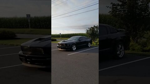 2008 Ford mustang Grocery Getter