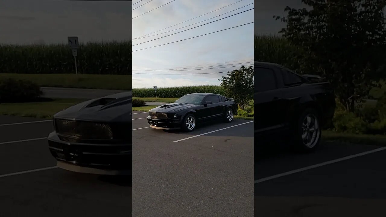 2008 Ford mustang Grocery Getter
