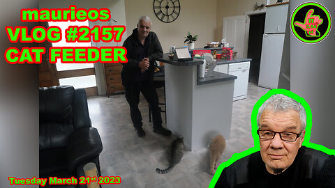 maurieos VLOG #2156 CAT FEEDER