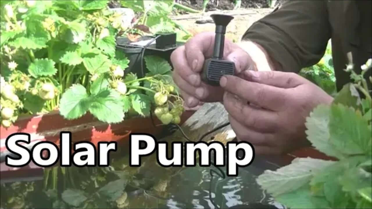 Small Solar Water Pump - Good For Wildlife Ponds?