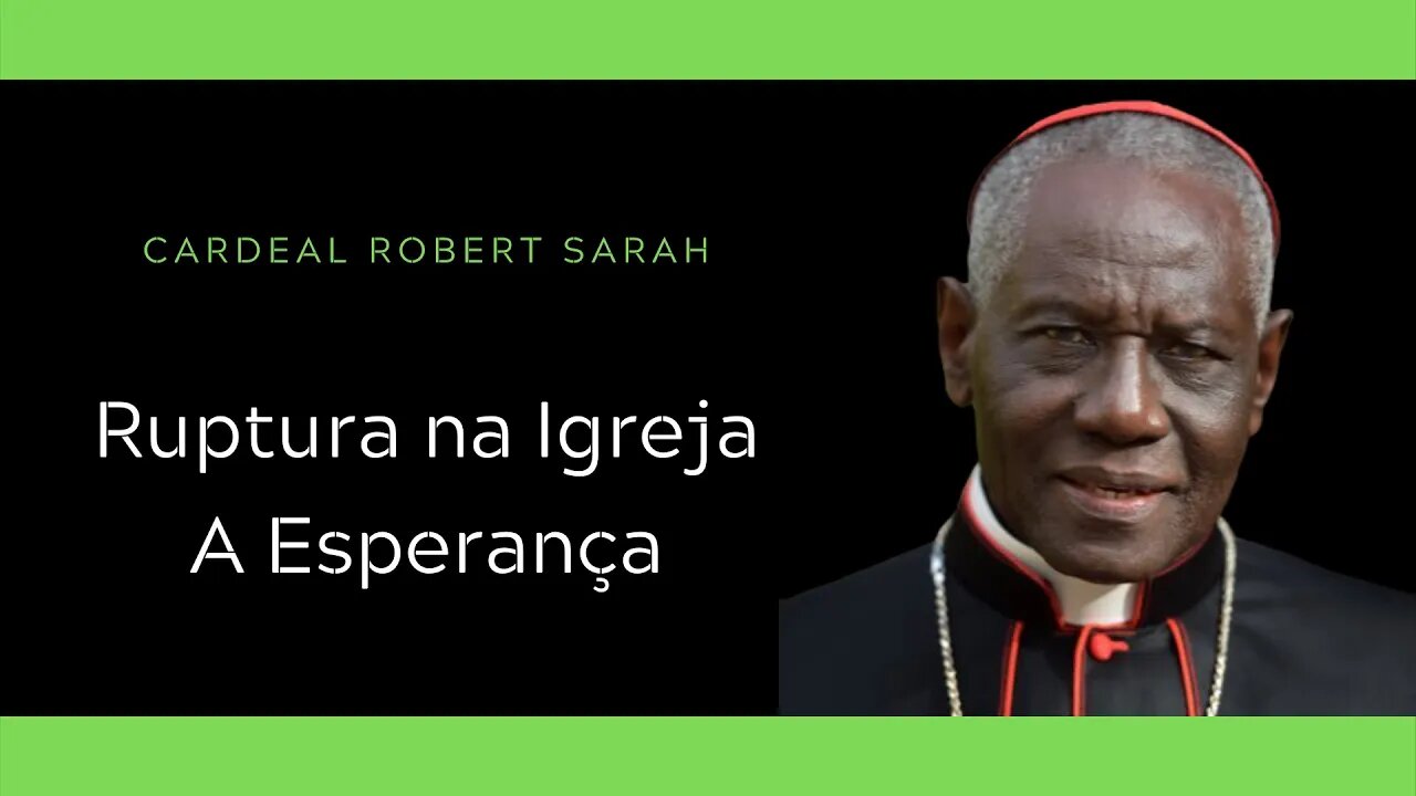 Cardeal Sarah | Ruptura na Igreja - A esperança