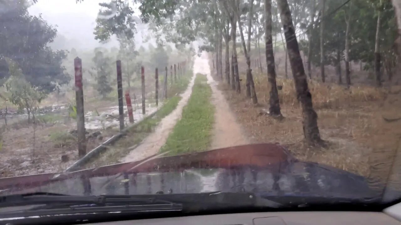 Ride to Farm and Caught in Classic Thailand Rain Torrent