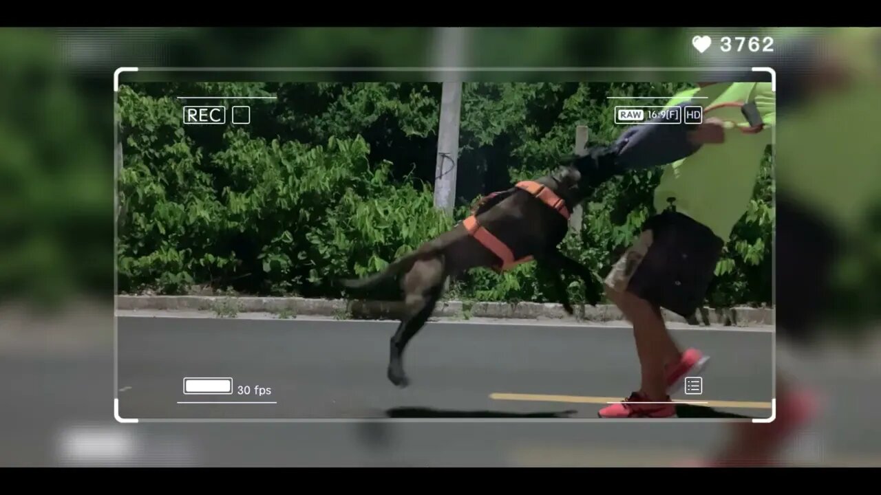 TREINO LANÇADO NA RUA NOITE
