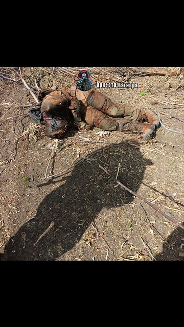 This picture is now all over Ukraine