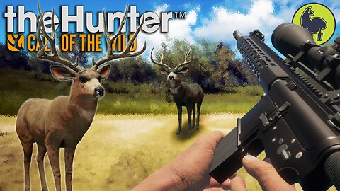 My Dear Deer (mule deer edition) Hunt Club Beta | theHunter: Call of the Wild (PS5 4K 60FPS)