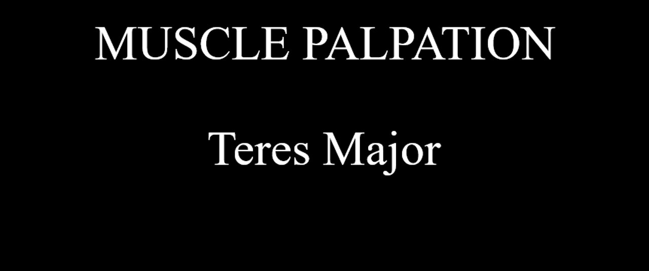 Muscle Palpation - Teres Major