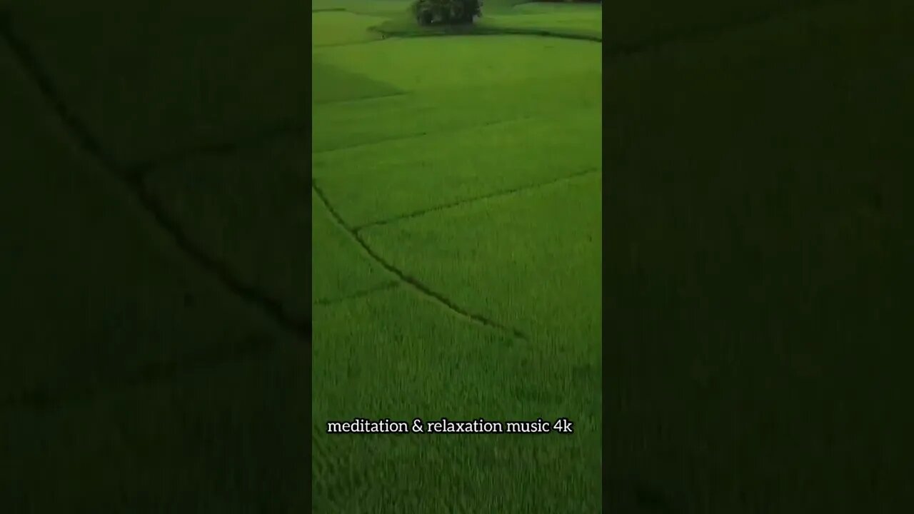 nature beauty/ relaxing music #nature #shorts