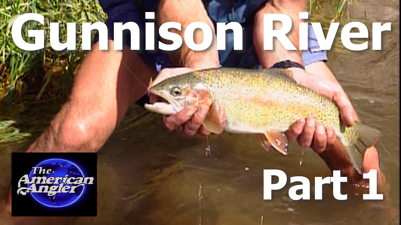 Fly fishing the Gunnison River Part 1