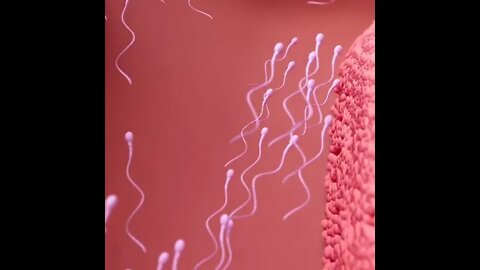 Viral and Trending Shorts of 2022 Tools tips&tricks #shorts #viral #amazing #2022 #youtube #ideas