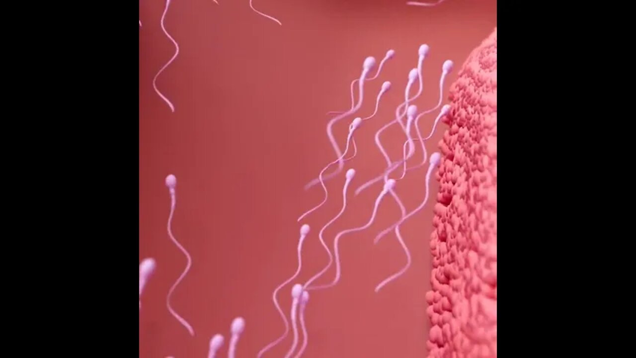 Viral and Trending Shorts of 2022 Tools tips&tricks #shorts #viral #amazing #2022 #youtube #ideas