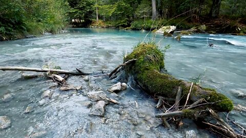 Help yourself to relax and sleep peacefully. Forest river. The noise of the water flow.