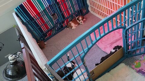 All Together Now.....