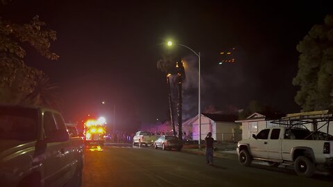 Fourth of July fire burns multiple palm trees and house in North Las Vegas Nevada ￼