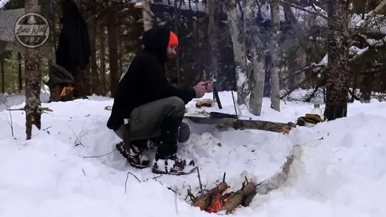 Camp in a hammock in winter 9