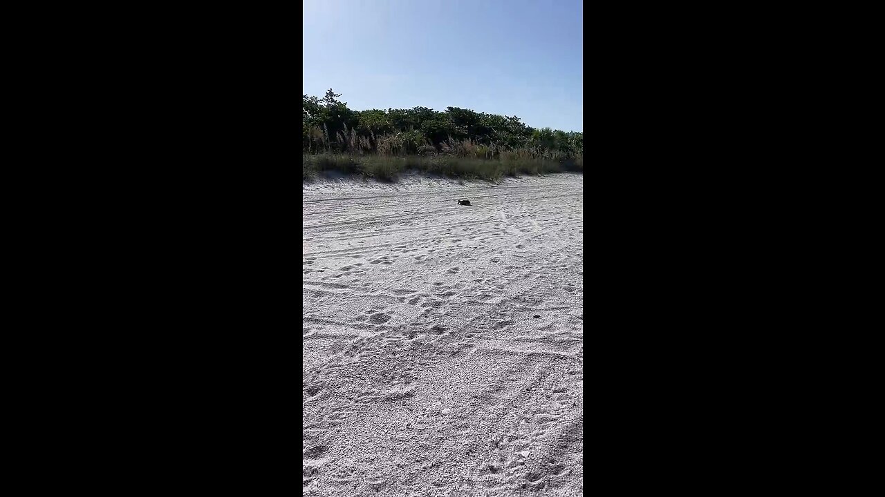 Livestream Clip - Barefoot Beach, FL Before Ian 8/26/2022 PT 1