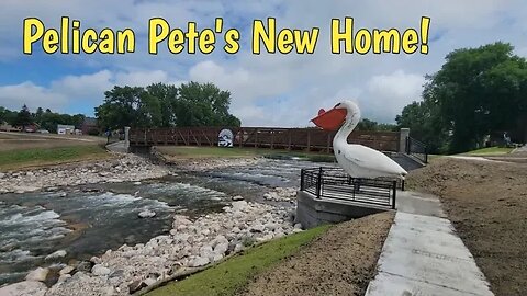 Pelican Pete's New Home