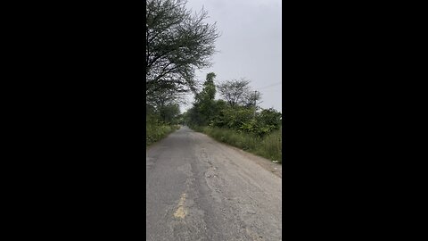 Road with both side trees 🌲