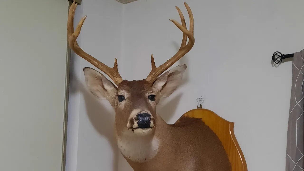 the story of my first buck