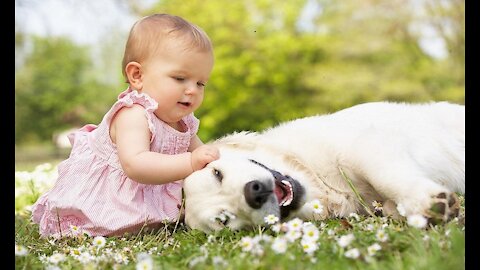 A child playing with a dog with water, a very funny video