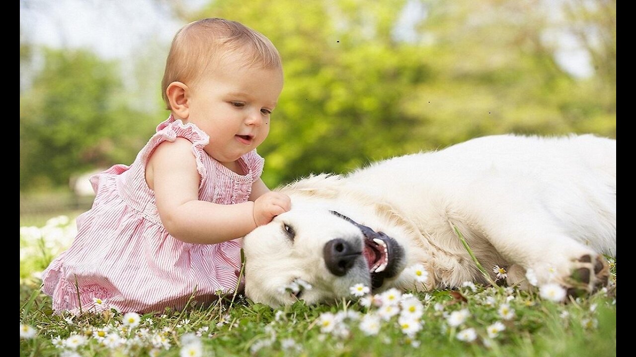 A child playing with a dog with water, a very funny video