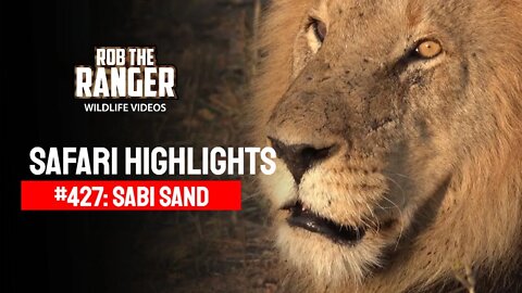 Safari Highlights #427: 16 - 19 August 2016 | Sabi Sand Wildtuin | Latest Wildlife Sightings