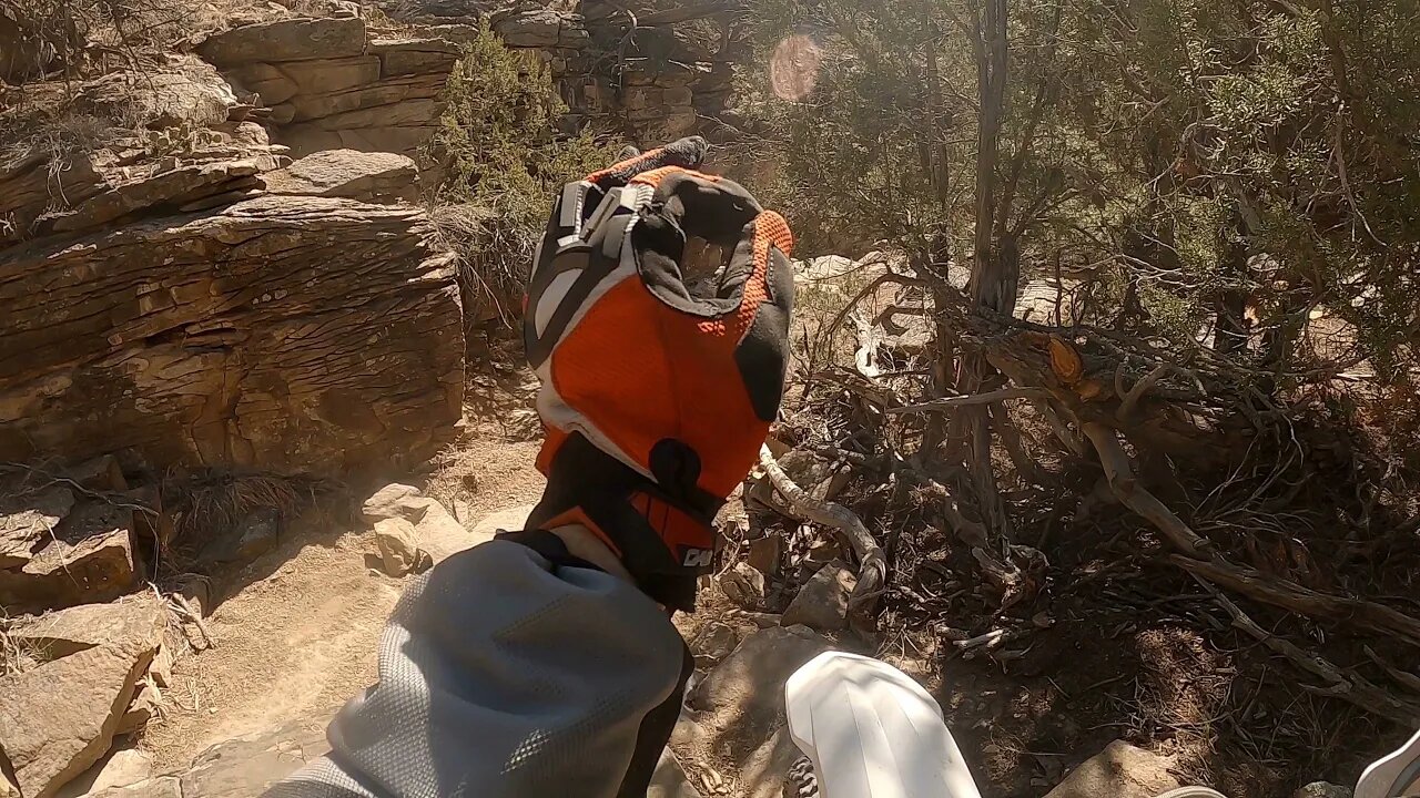 2021 Moto Vlog - Ever been WhittFck'ed? I have!