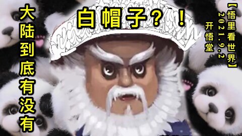 【直】KWT2398大陆到底有没有白帽子？！20210902-1【悟里看世界】