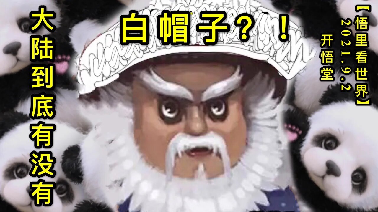 【直】KWT2398大陆到底有没有白帽子？！20210902-1【悟里看世界】