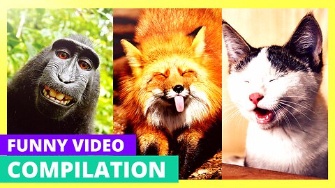 Unbelievable Bloopers: Can't Stop Laughing! |Laughing Until You Cry: Funniest Moments Ever!