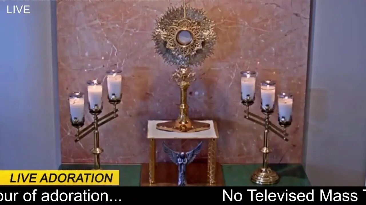 We offer this Holy Hour of Prayer and reflection