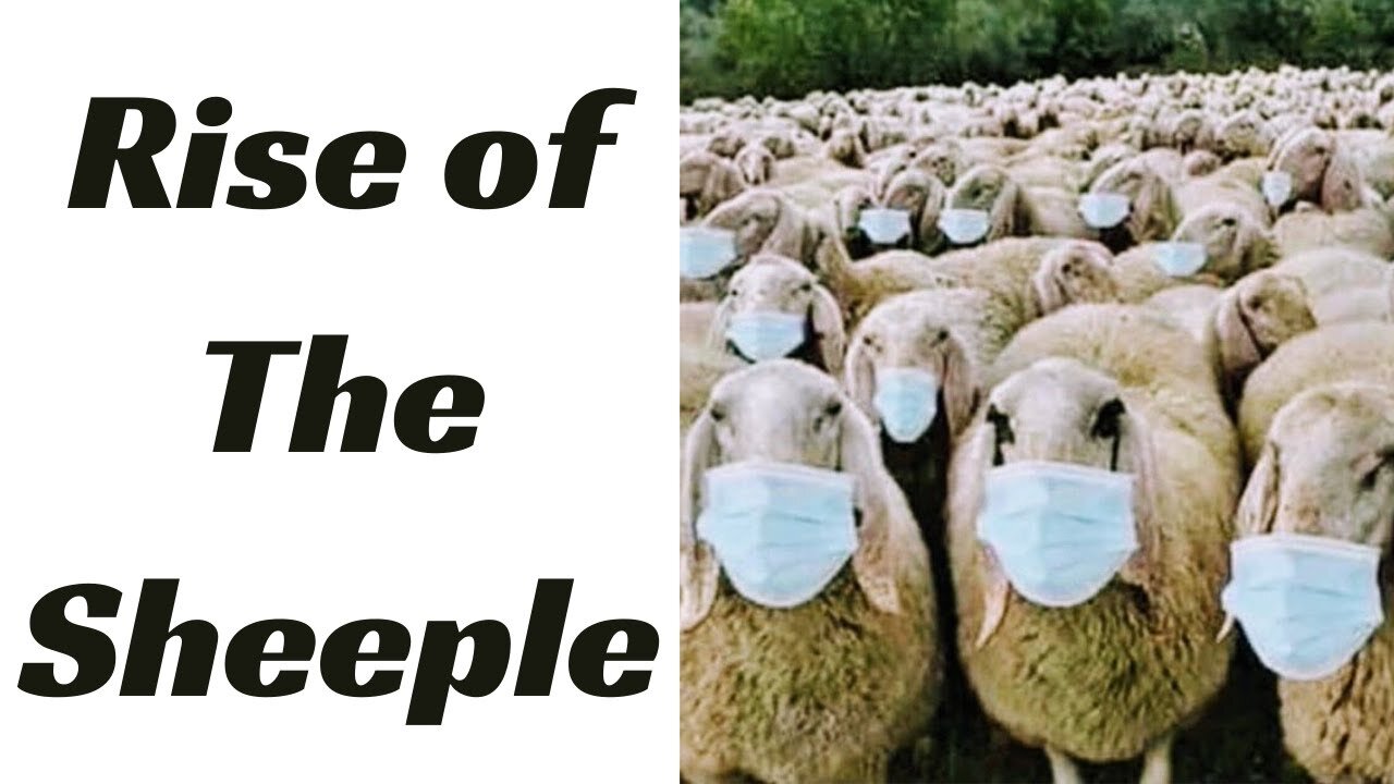 My heartfelt feelings about the SHEEPLE & how they could bring us down