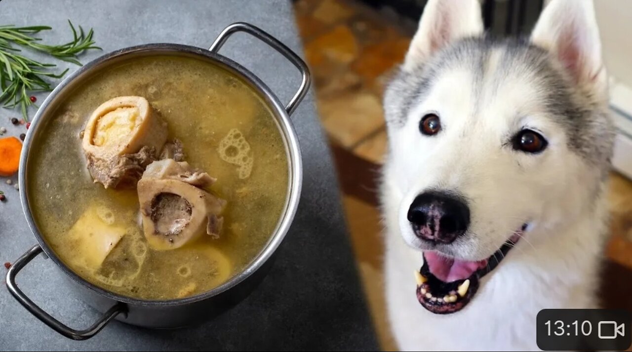 How To Make Bone Broth For Dogs 🦴 DIY Dog Treats