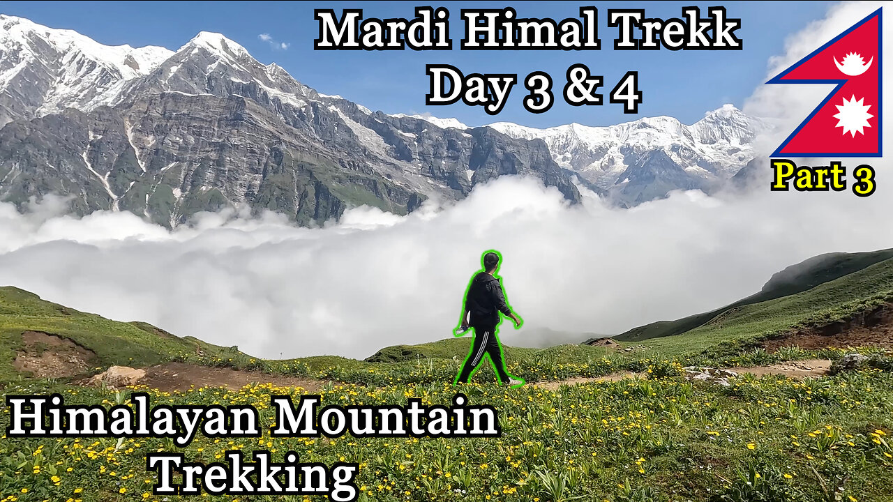 Beautiful Himalayan Hiking | Mardi Himal Trekk Day 3 & 4 🇳🇵 (part 3/3)