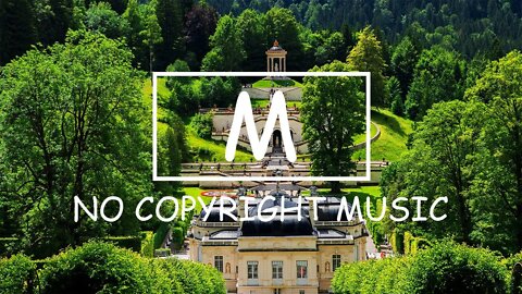 Dizaro - Safari（Mm No Copyright Music）