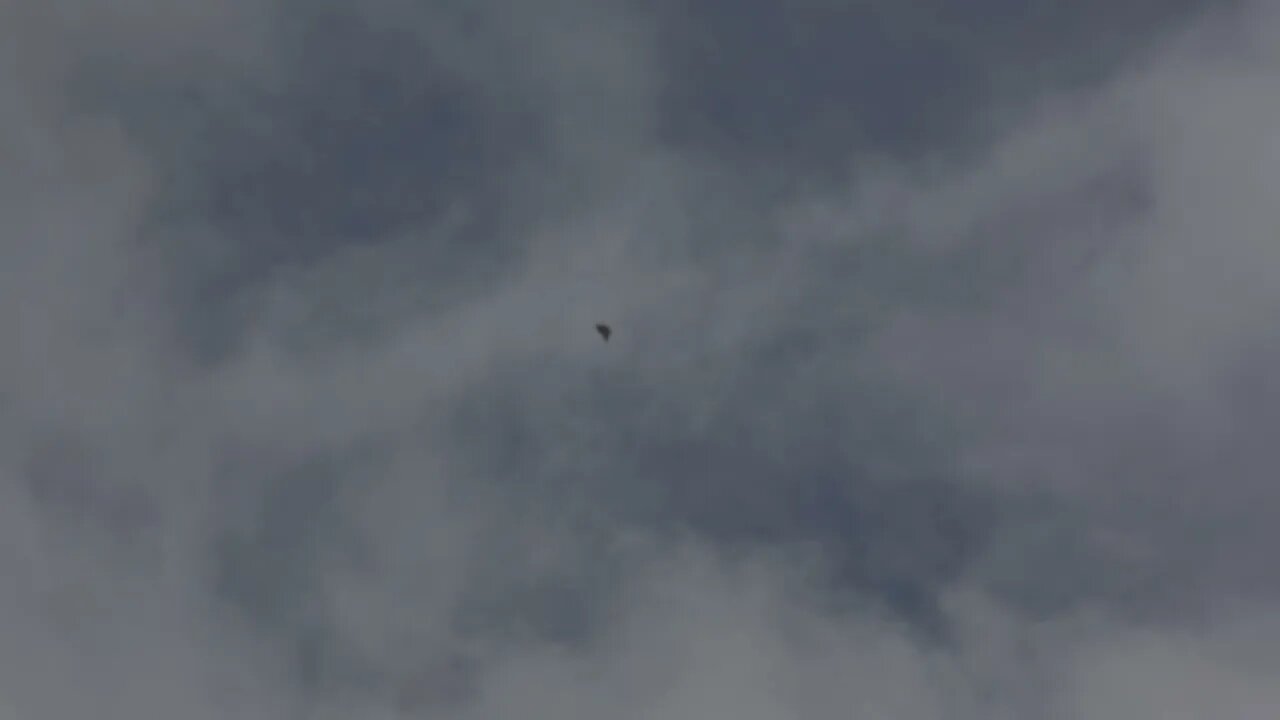 UFO Spotted Over Griffith Park in Los Angeles California