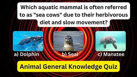 Unlocking the Secrets: Your Epic Animal General Knowledge Quiz