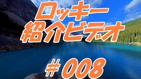 ロッキー紹介ビデオ ＃008