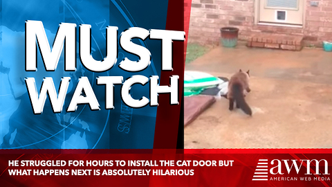he struggled for hours to install the cat door but what happens next is absolutely hilarious