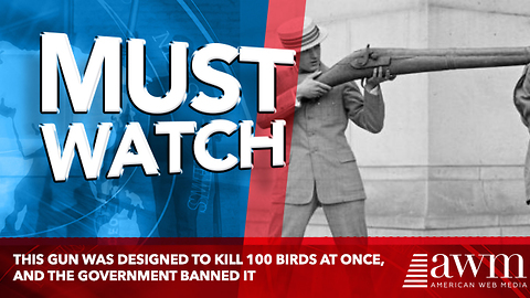 This Gun Was Designed To Kill 100 Birds At Once, And The Government Banned It