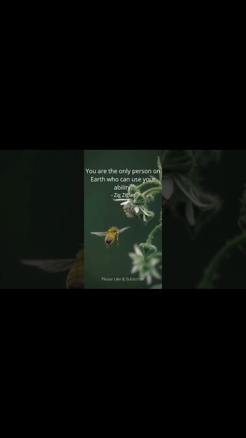 You Are the Only Person