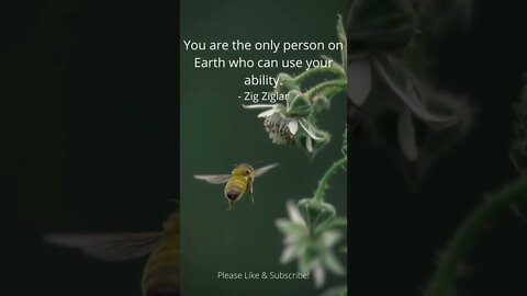 You Are the Only Person