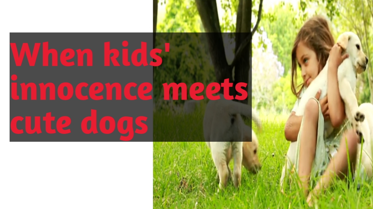 Little Girl play with puppies in the garden
