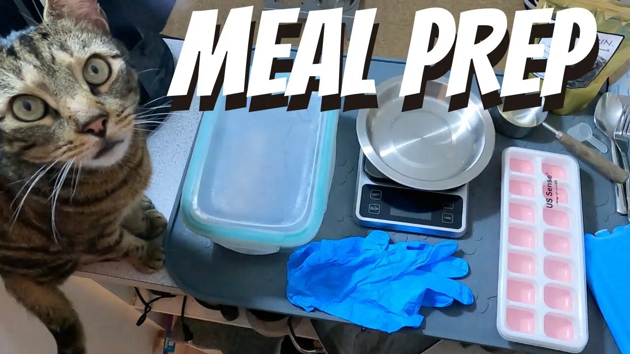 How to properly meal prep raw cat food