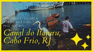 🎣🤿💛💚A GARÇA AMERICANA E OS PESCADORES - CANAL DO ITAJURU -CABO FRIO - RJ