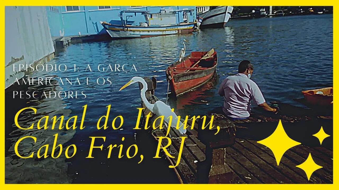 🎣🤿💛💚A GARÇA AMERICANA E OS PESCADORES - CANAL DO ITAJURU -CABO FRIO - RJ