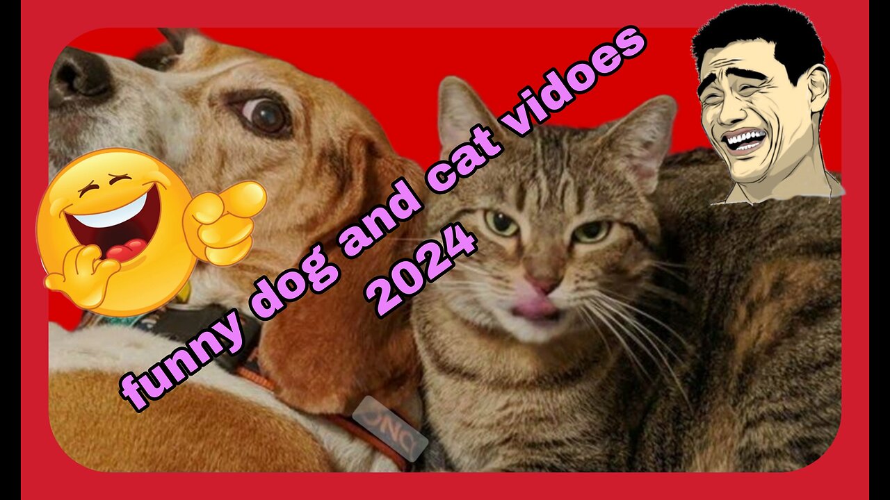 🤣🤣🤣🤣🤣Funny dog and cat videos 2024 _ best videos of 2024 🤣🤣🤣🤣