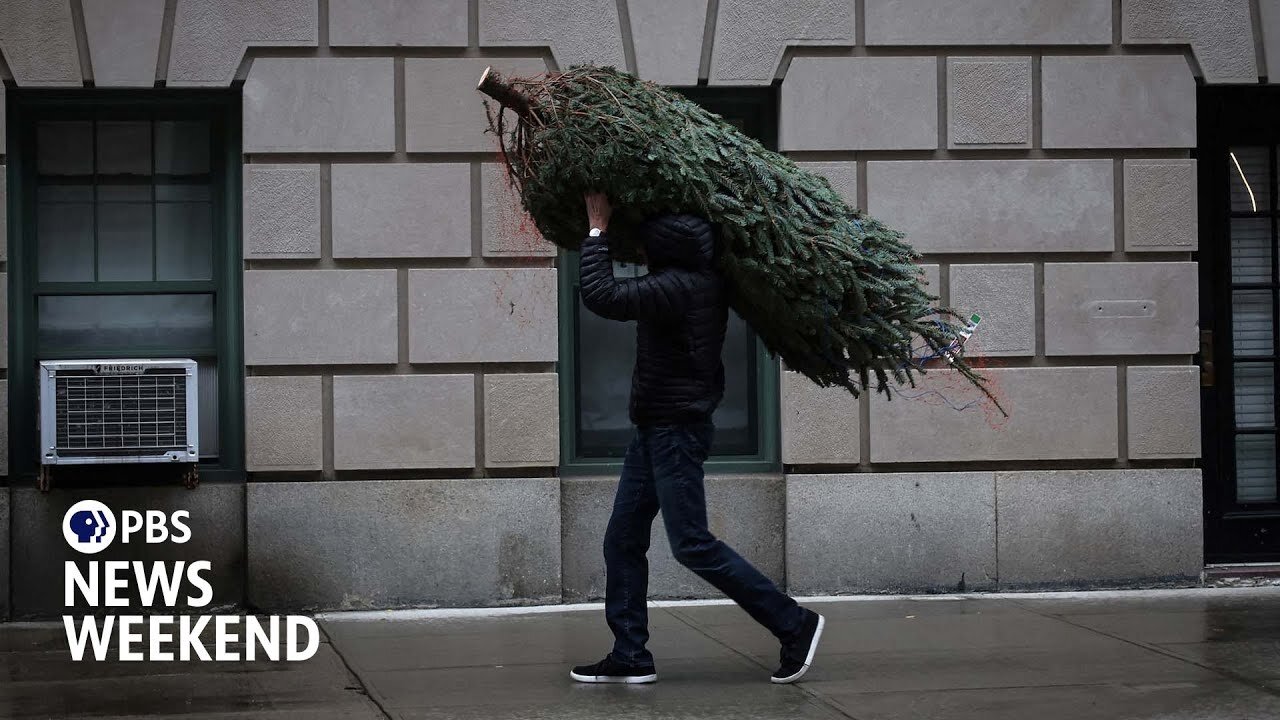 Seasonal vendors bring Christmas trees to the sidewalks of New York City