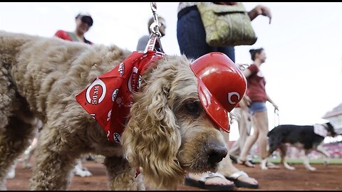 Phenom: Reds' Elly De La Cruz Hits for the Cycle in Just 15th Career Start