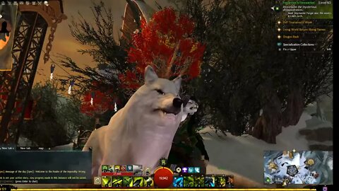 Guild Wars co-op stream attempt again!